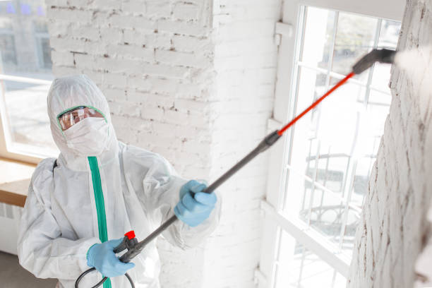 Best Post-Remediation Verification Testing  in Dalzell, SC